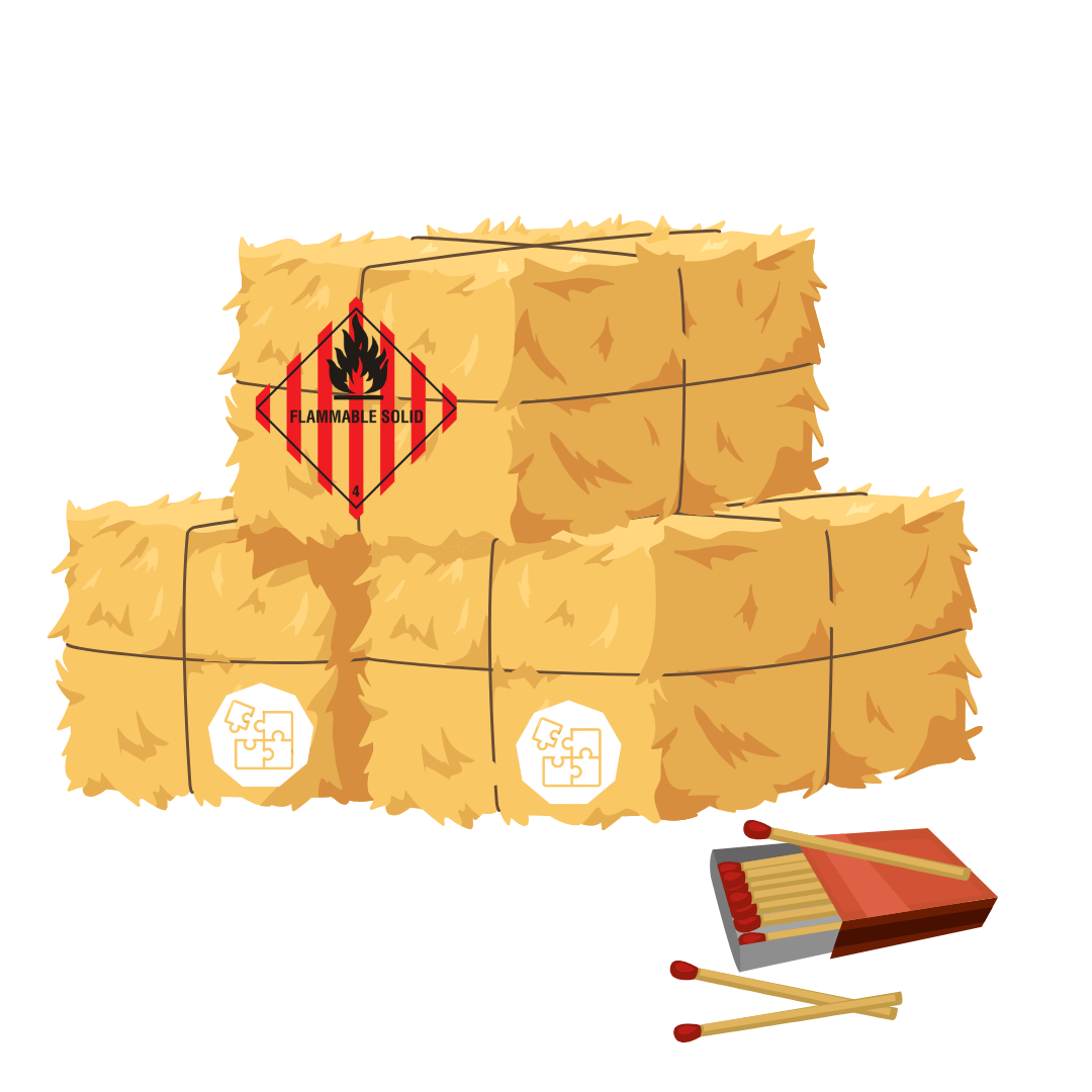 What are Class 4 Dangerous Goods?